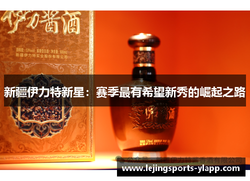 新疆伊力特新星：赛季最有希望新秀的崛起之路